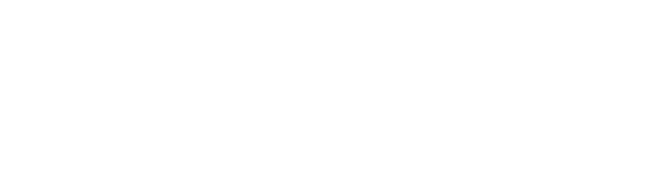 BruiloftDJ Logo